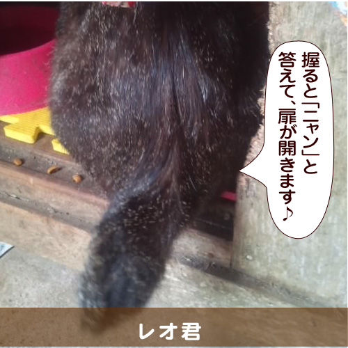 20140719_touko.jpg