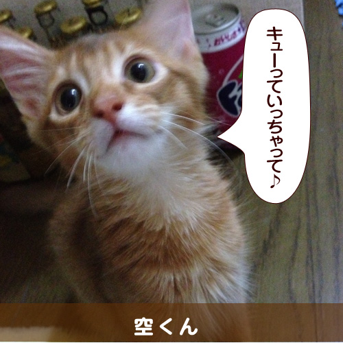 20140720_touko.jpg