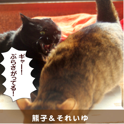 20140722_touko.jpg