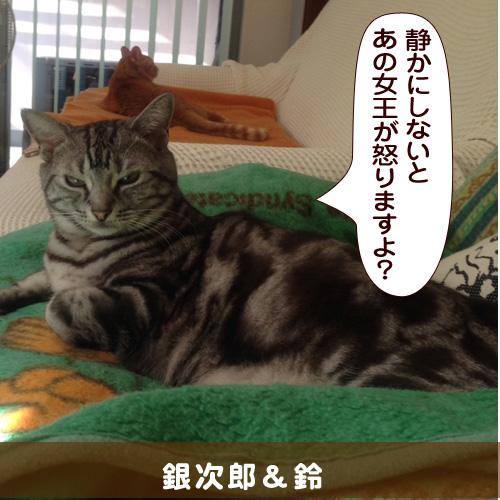 20140723_touko.jpg