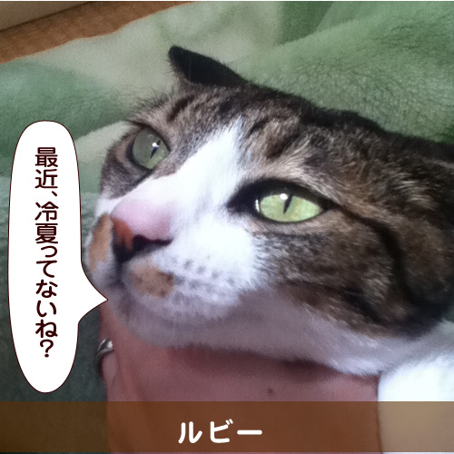 20140724_touko.jpg