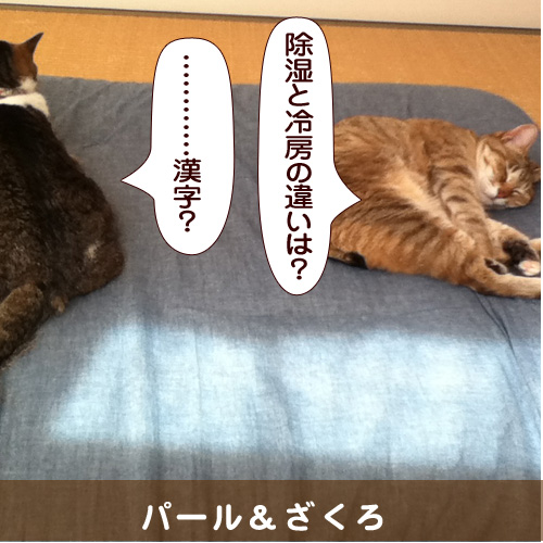 20140726_touko.jpg