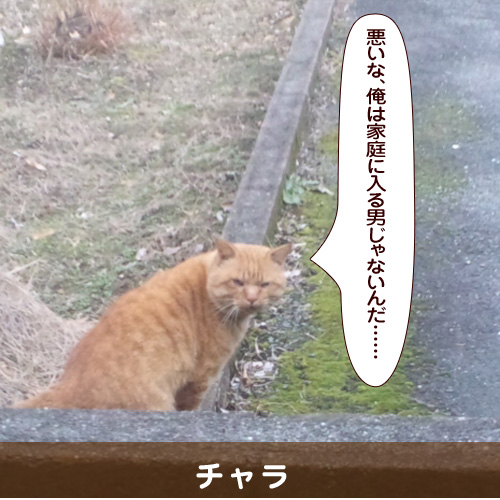 20140727_touko.jpg