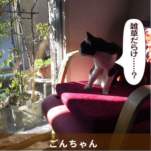 20140728_touko.jpg