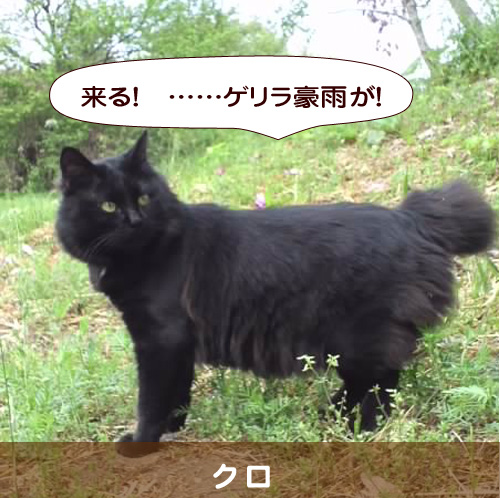 20140729_touko.jpg