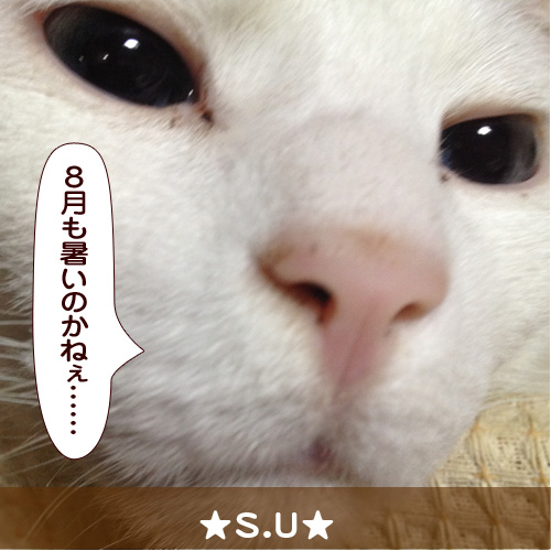 20140731_touko.jpg