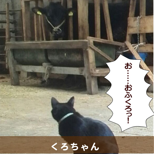 20140802_touko.jpg
