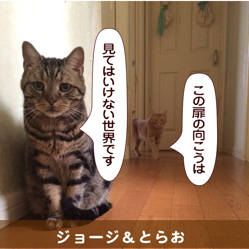 20140803_touko.jpg