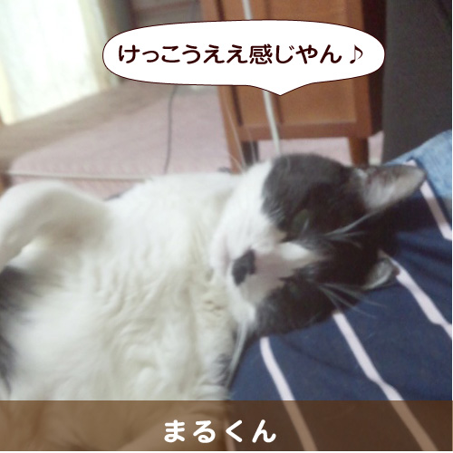 20140805_touko.jpg