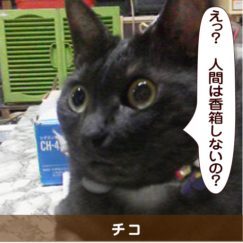 20141119_touko.jpg