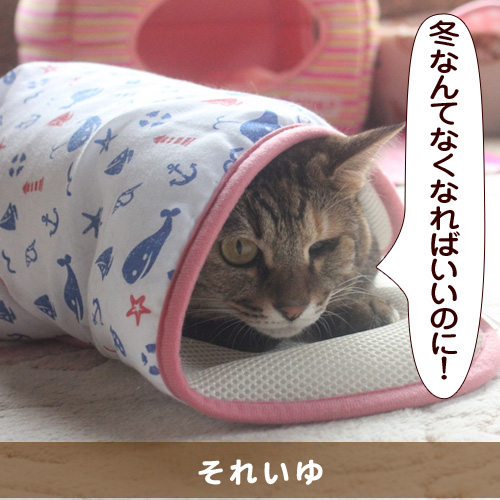 20141120_touko.jpg