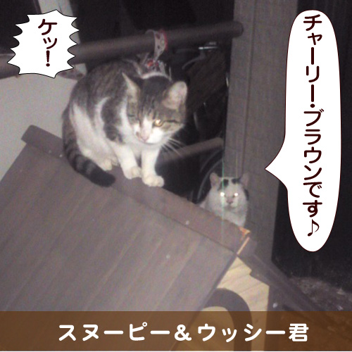 20141121_touko.jpg