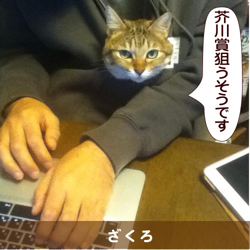 20141122_touko.jpg