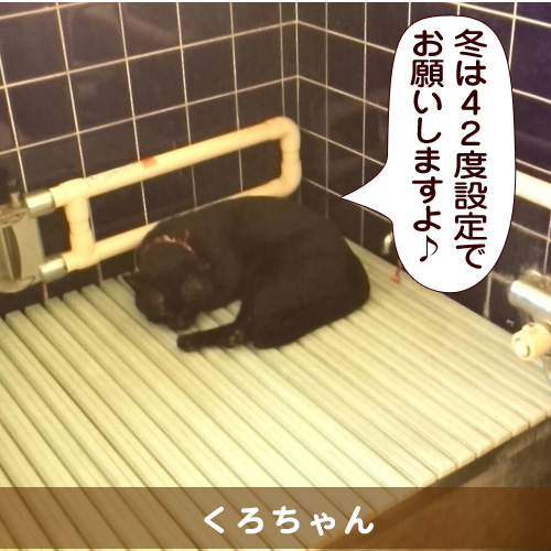 20141123_touko.jpg