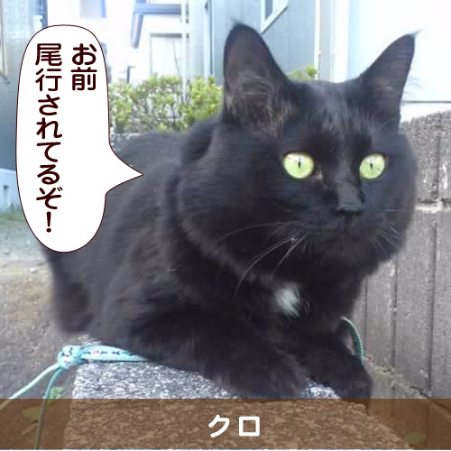 20141124_touko.jpg