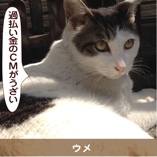 20141128_touko.jpg