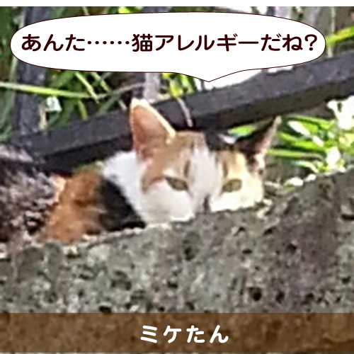 20141130_touko.jpg