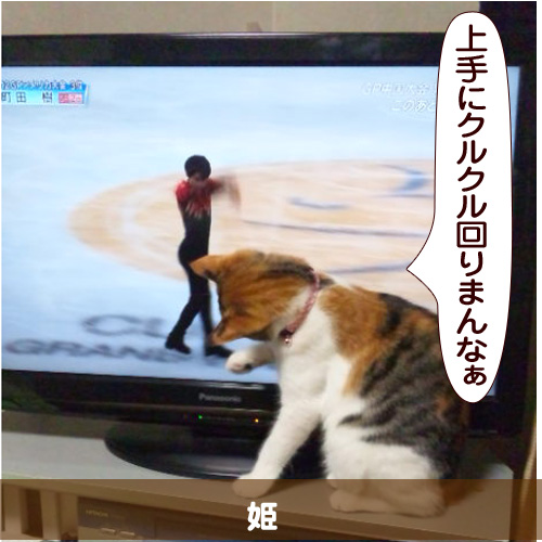 20141202_touko.jpg