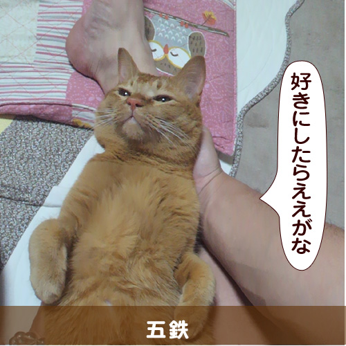 20141203_touko.jpg
