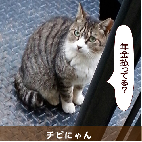 20141204_touko.jpg