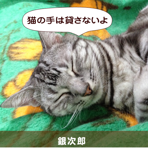 20141206_touko.jpg