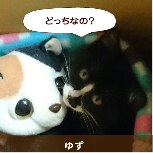20141207_touko.jpg