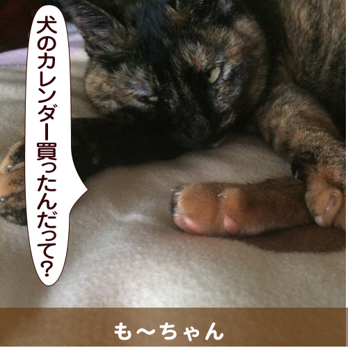 20141208_touko.jpg