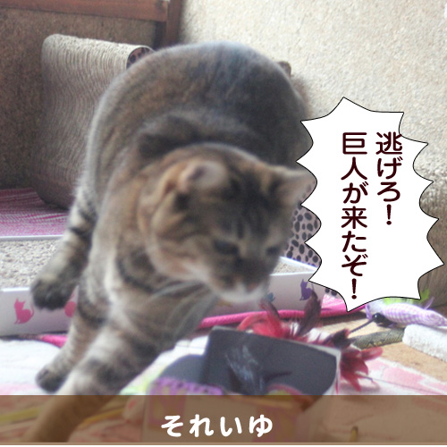 20141209_touko.jpg