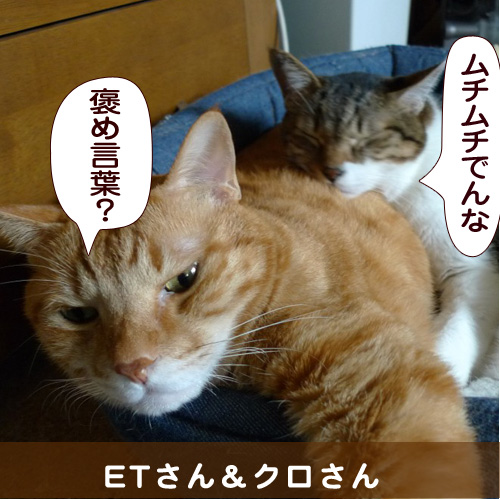 20141210_touko.jpg
