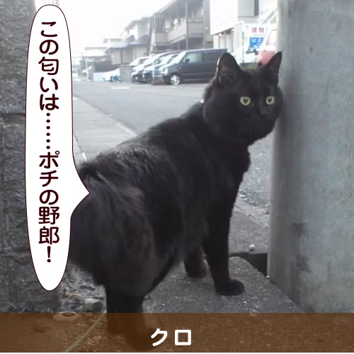 20141212_touko.jpg