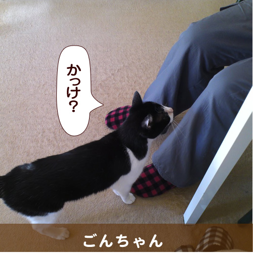 20150120_touko.jpg