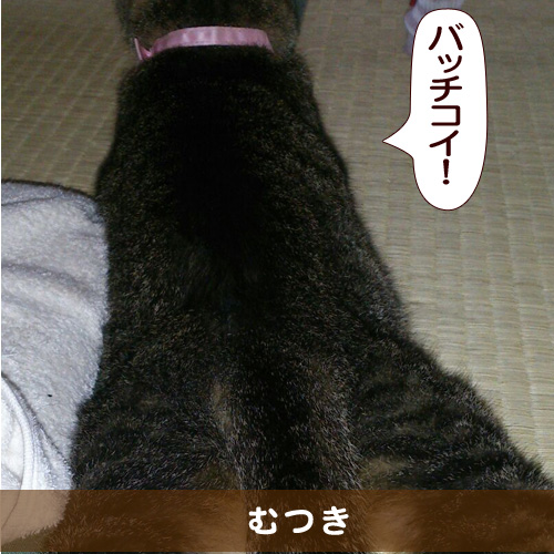 20150221_touko.jpg