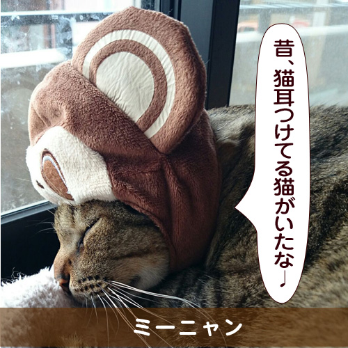 20150224_touko.jpg