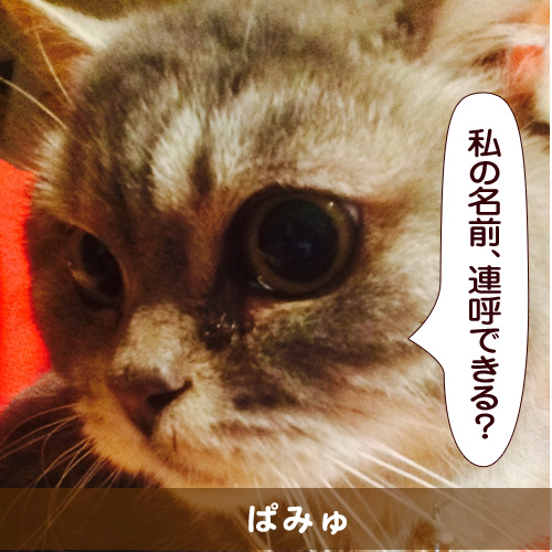 20150225_touko.jpg