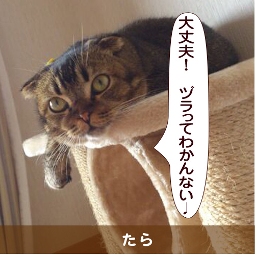 20150226_touko.jpg