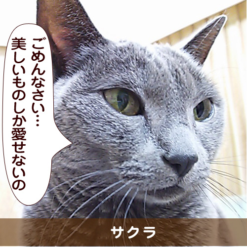 20150227_touko.jpg