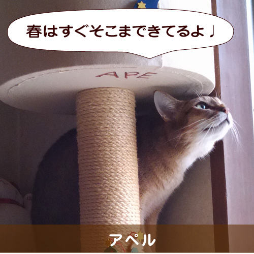 20150228_touko.jpg