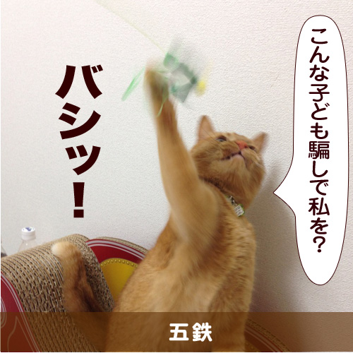 20150302_touko.jpg