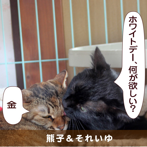 20150303_touko.jpg