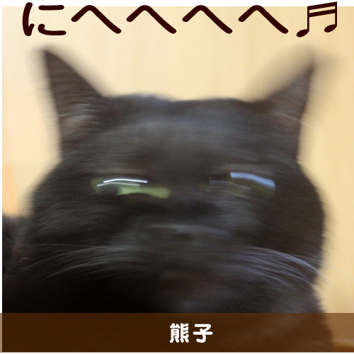 20150304_touko.jpg
