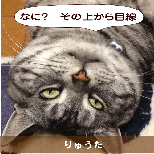 20150305_touko.jpg