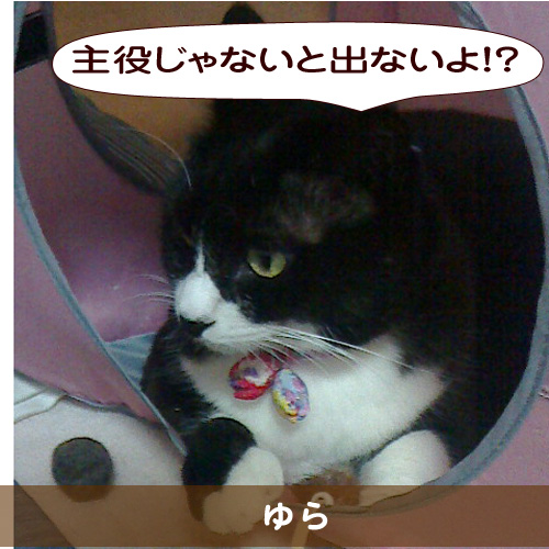 20150306_touko.jpg