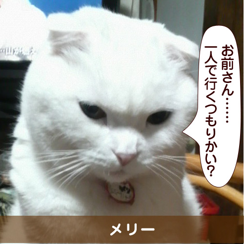 20150307_touko.jpg