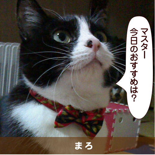 20150308_touko.jpg
