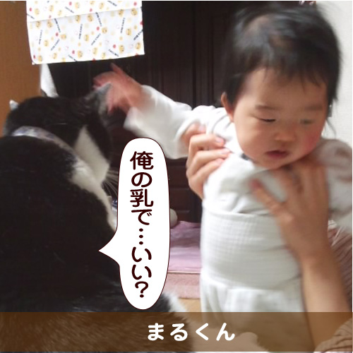 20150309_touko.jpg
