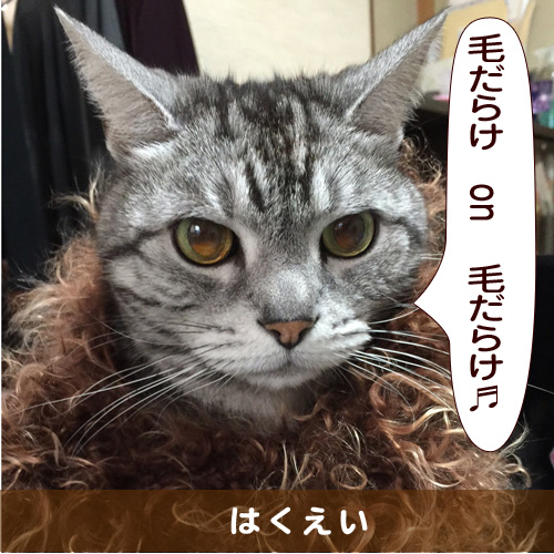 20150310_touko.jpg