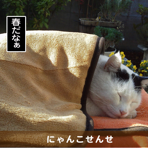 20150311_touko.jpg