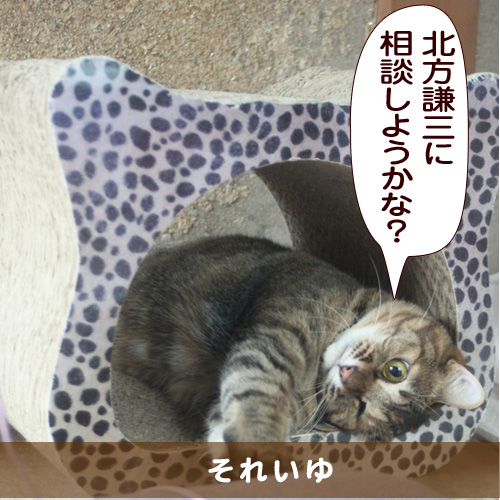 20150313_touko.jpg