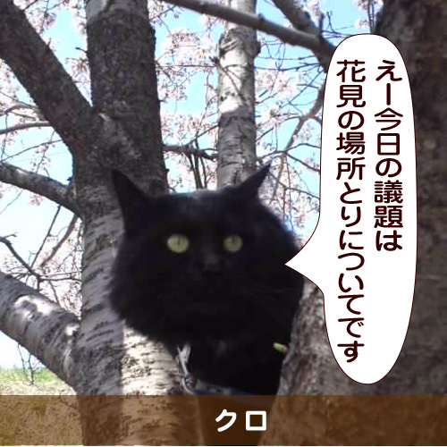 20150314_touko.jpg