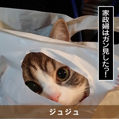 20150315_touko.jpg